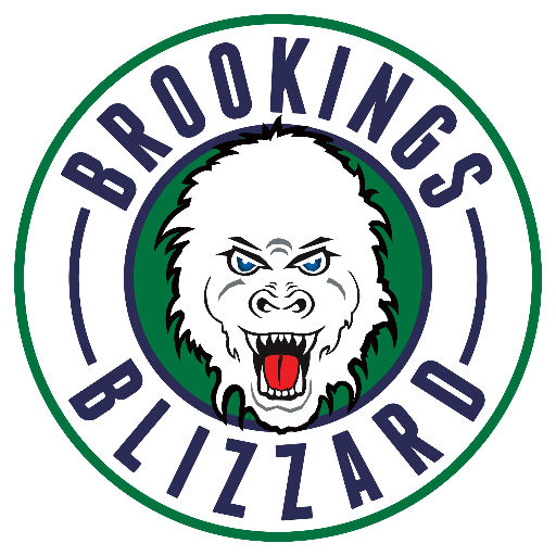 Brookings Blizzard 2016-Pres Primary Logo iron on transfers for clothing